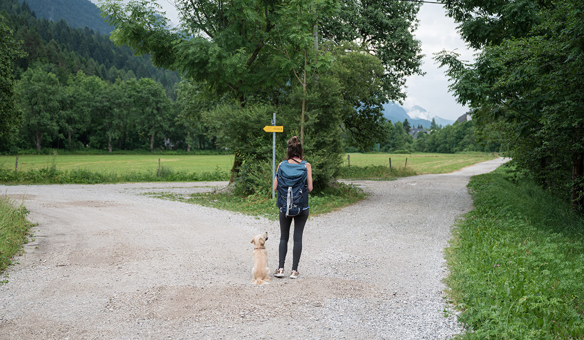 Hallo Leben - wo soll es hingehen?